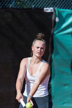 Bild 538 - Kaltenkirchen Cup